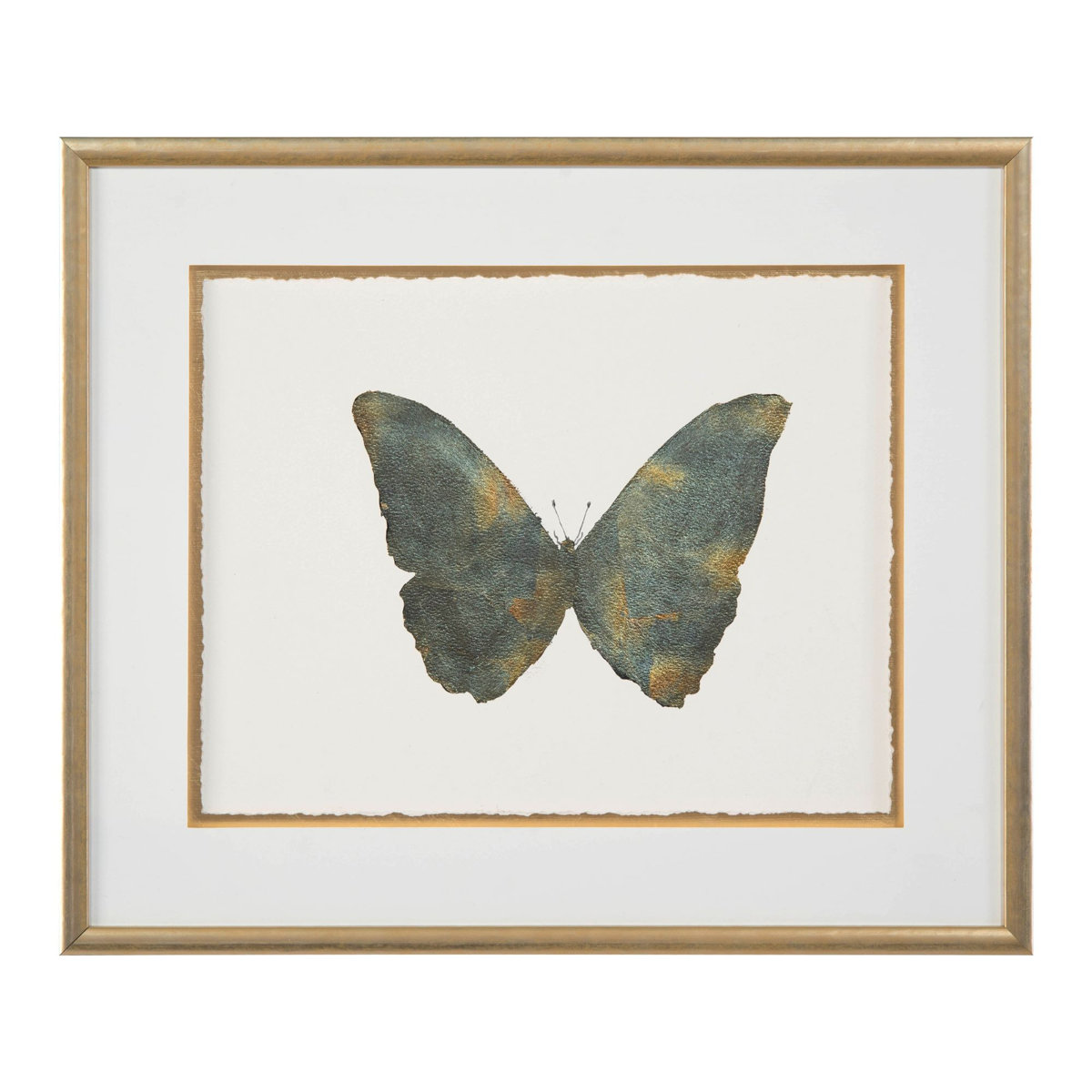 John Richard Butterfly-II Wall Art