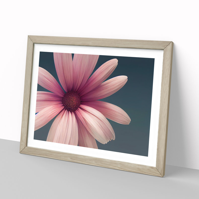 Cute Daisy Flower - Framed Print, 46cm H x 64cm W x 2cm D, Oak