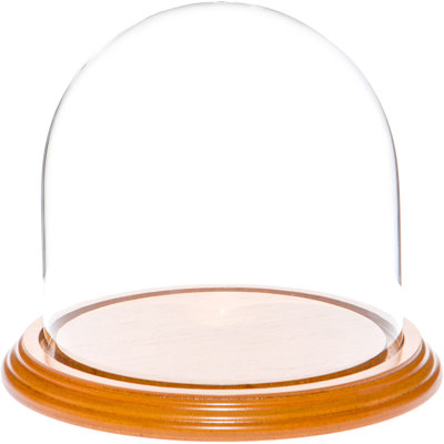 Vucciria Glass Display Dome Cloche