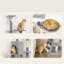 Multi-Level Cat Tree with Condo & Sisal Scratching Posts