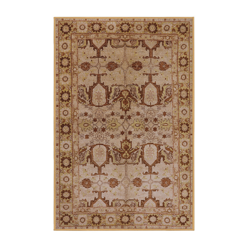 Tapis brun à motif oriental, Rectangle 4 pi x 6 pi