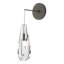 Luma Metal Armed Sconce-78676105