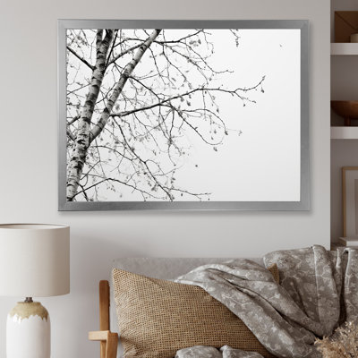 " Grey Minimalism Tree Birch "