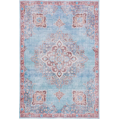 Serapi Performance Machine Washable Oriental Rug