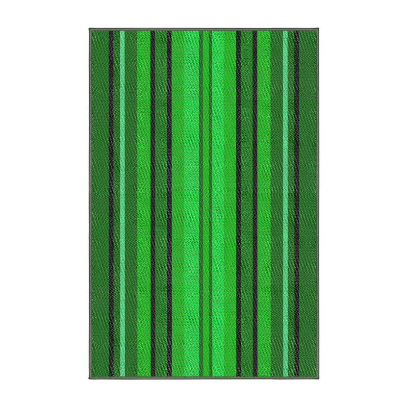 Striped Indoor Rug, Rectangle 4' x 6'