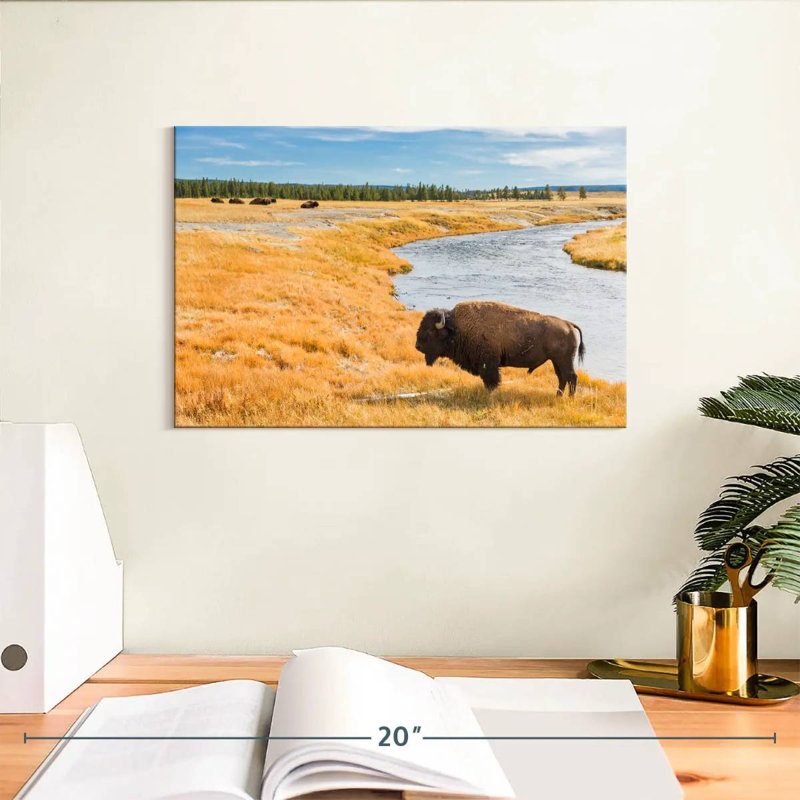 Brampt National Park Bison, 8" H x 12" W