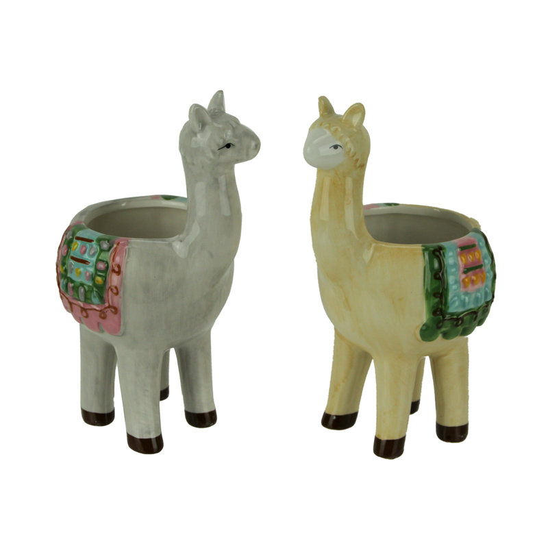 Amnon Ceramic Indoor Pot Planter