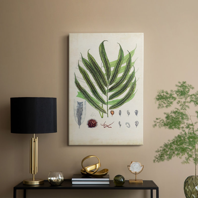 Collectionner Ferns III - galerie sur mesure, H 48 po x l 32 po