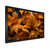 Black Single Picture Framed