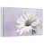 Floating Frame White