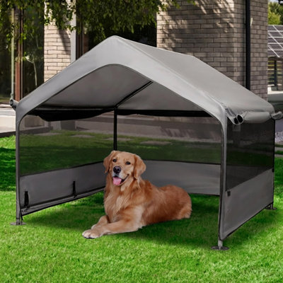 Extra Large Dog House Outside