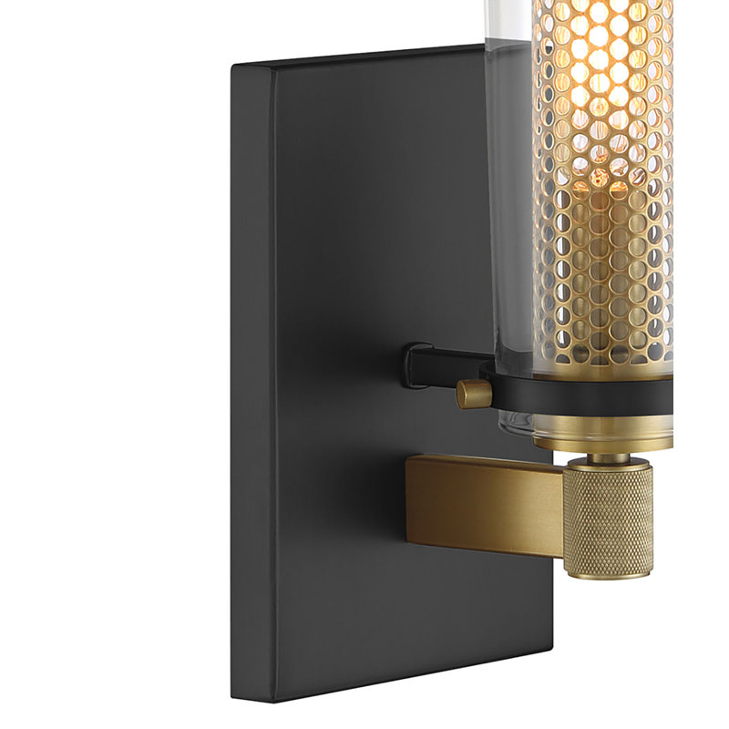 Zanyia Steel Armed Sconce