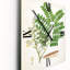 Horloge murale rétro Vintage Botanicals VII-1143049152