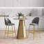 Dhital Counter Stool with Metal Frame