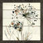 «Natures Lace I» par Carol Robinson - reproduction de cadre photo-1554035403