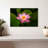 Fresh Lotus Flower-1214097615
