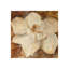 White Passion Painting-26948701-26948707