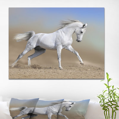 " White Horse Stallion Run Gallop In Dust "