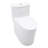 16.25" Comfort Height One-piece Toilet, 1.1/1.6 Gpf Dual Flush, Super Siphon Flushing, Easy Clean Glazed Surface Toilet-124572216