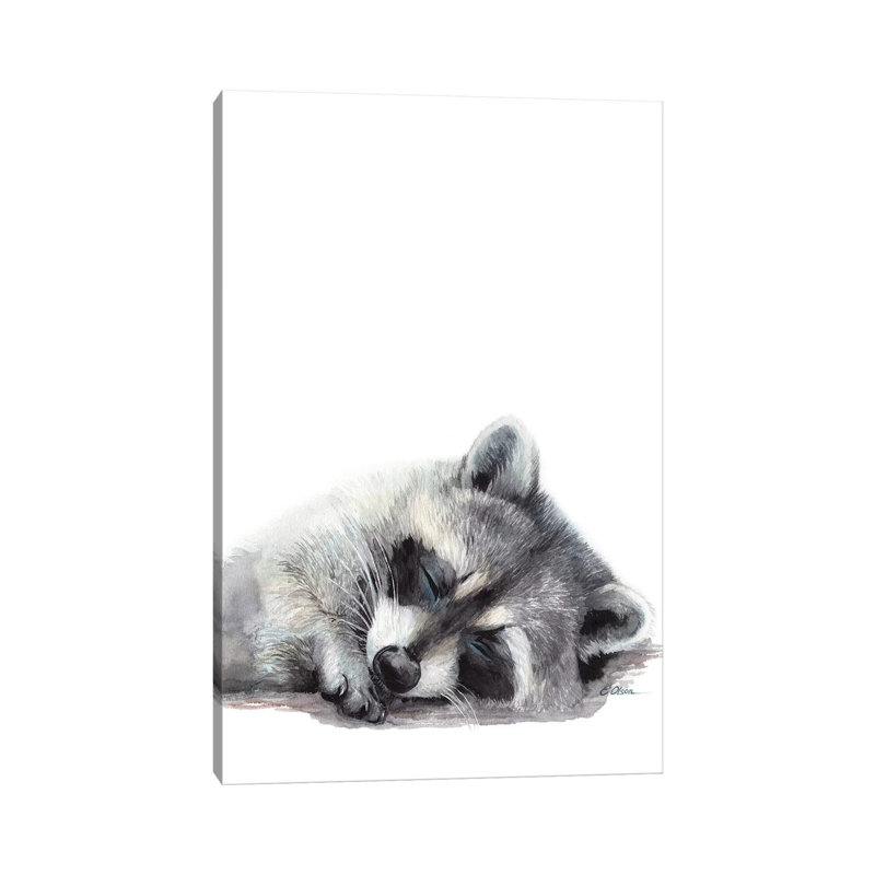 Woodland Sleeping Raccoon by Watercolor Luv - Wrapped Canvas Gallery-Wrapped Canvas Giclée, 20.32 cm H x 30.48 cm W