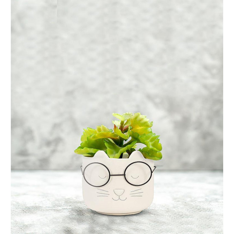 Visière de chat portant des verres à fleurs