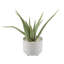 Feuillage artificiel en pot-384964417