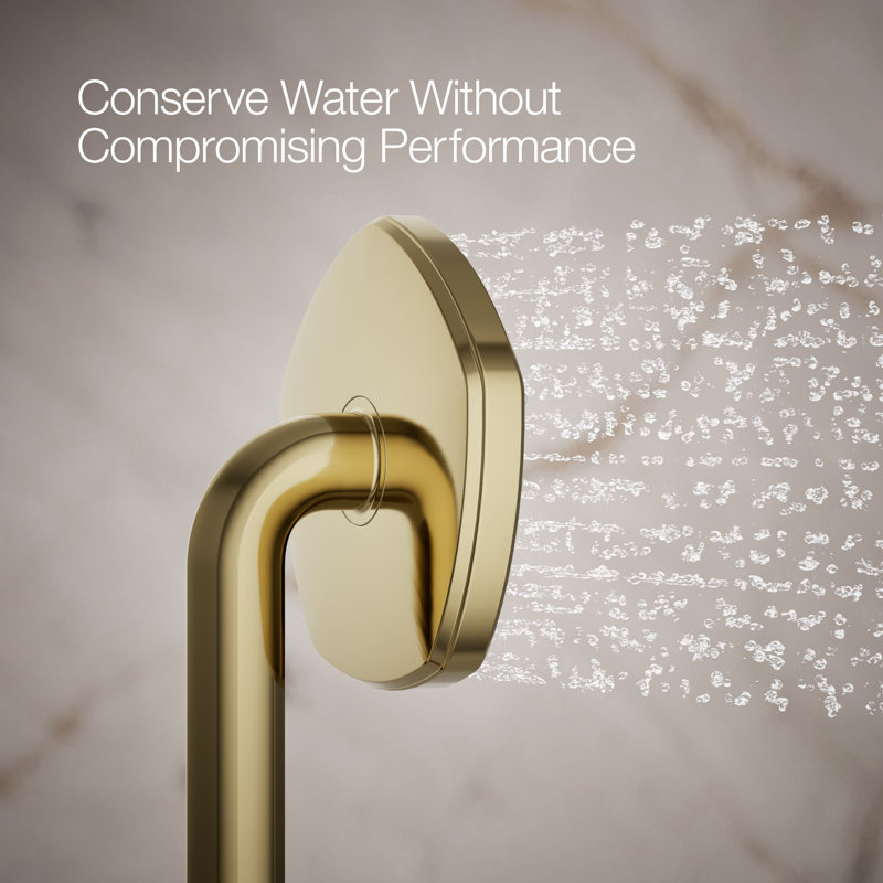 Occasion Single-Function 1.75 Gpm Handshower, Vibrant French Gold