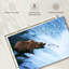 Ours Brampt attrapant du saumon-108816348