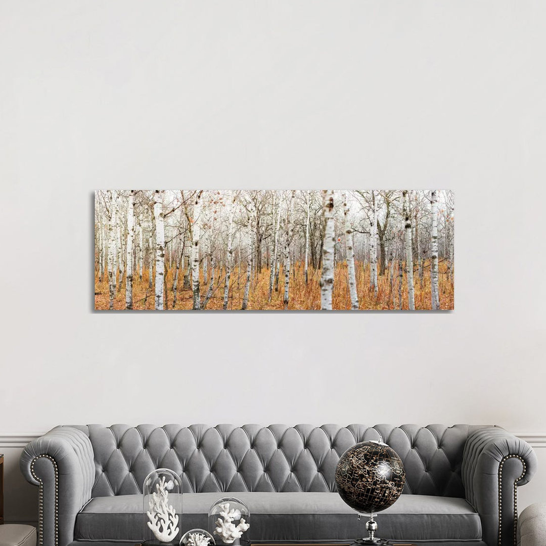 Birch Grove Panoramic by Nik Rave - Panoramic Print on Canvas