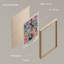 Matisse Mid-Century Modern-119018028