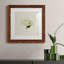 " Cornales Hydrangea II "-1692626668-1692626669-1692634648