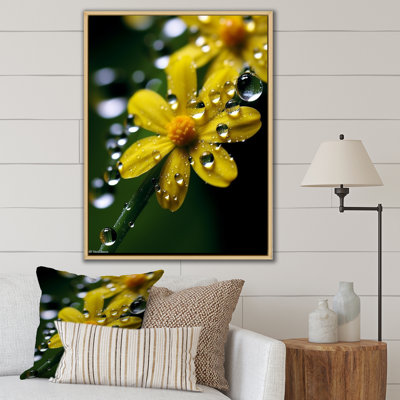 «Dew Drops On Yellow Marguerite Flower», reproduction sur toile