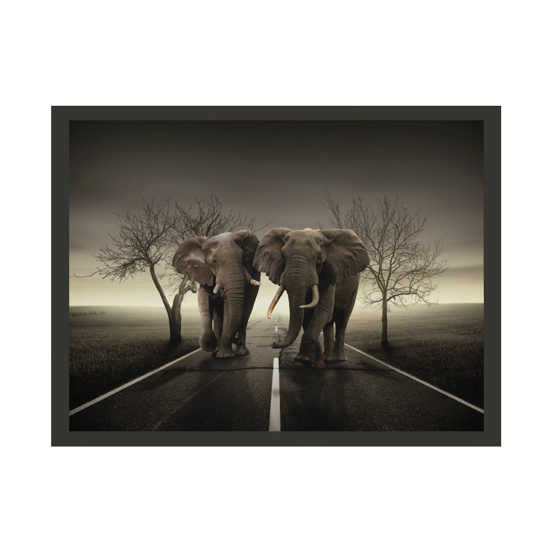 Elephant City 2.31m x 300cm Wallpaper, 309cm L x 400cm W