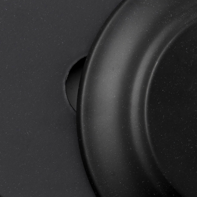 Siona Fleetwood 1 Light Black Ceiling Mount