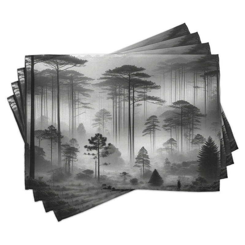 Ensemble de 4 napperons Ambesonne