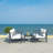 Nidhi Eucalyptus 4 - Person Patio Conversation Set with Cushions-967084683