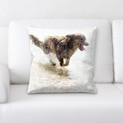 Coussin décoratif
