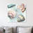 " Sea Shells "-23682670