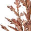 Dried Flower Bunch-119034006-119034007