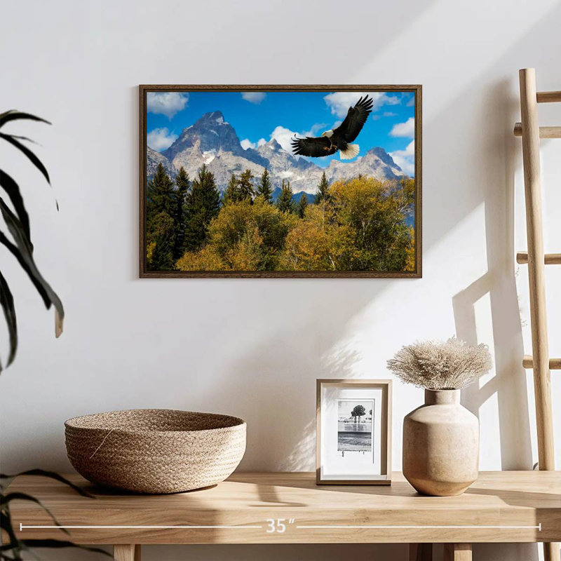 Grand Teton Eagle, 19 po x 13 po, Cadre flottant en noyer