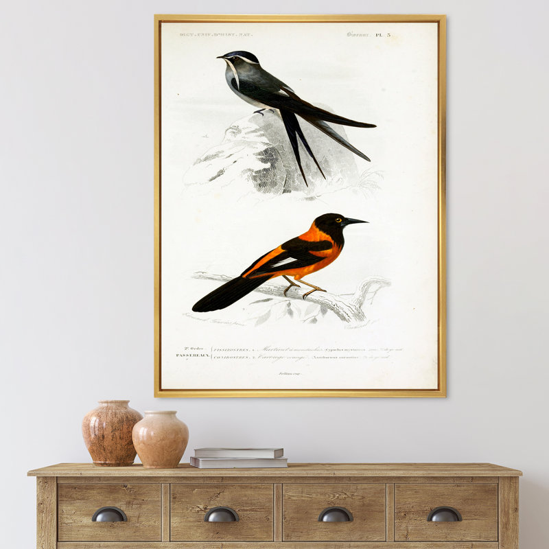 Oiseau rétro II - peinture sur toile, H 32 po x l 24 po x P 1 po, Cadre flottant doré