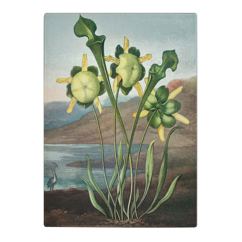 Tempered Glass Pitcher Plant by R.J. Thornton Chopping Board, 20 cm x 28.5 cm