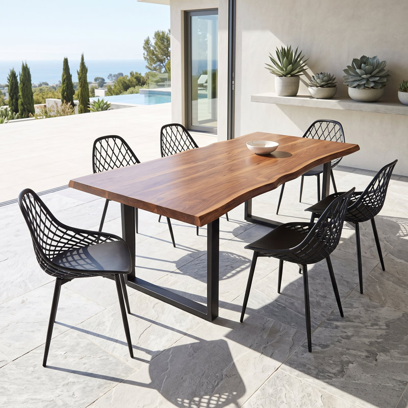 Plastic Dining Chair