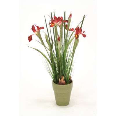 Polysilk Iris Arrangement in Pot