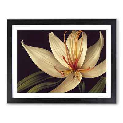 Classic Lily Flower - Framed Print