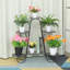 Metal Plant Stand-887342369
