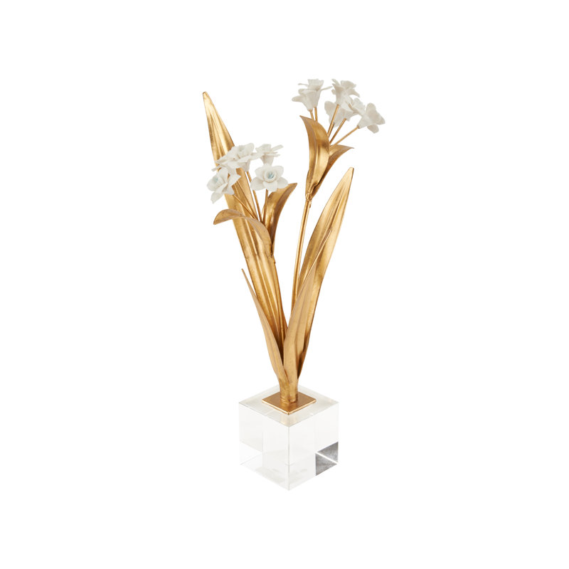 Paperwhite Narcissus
