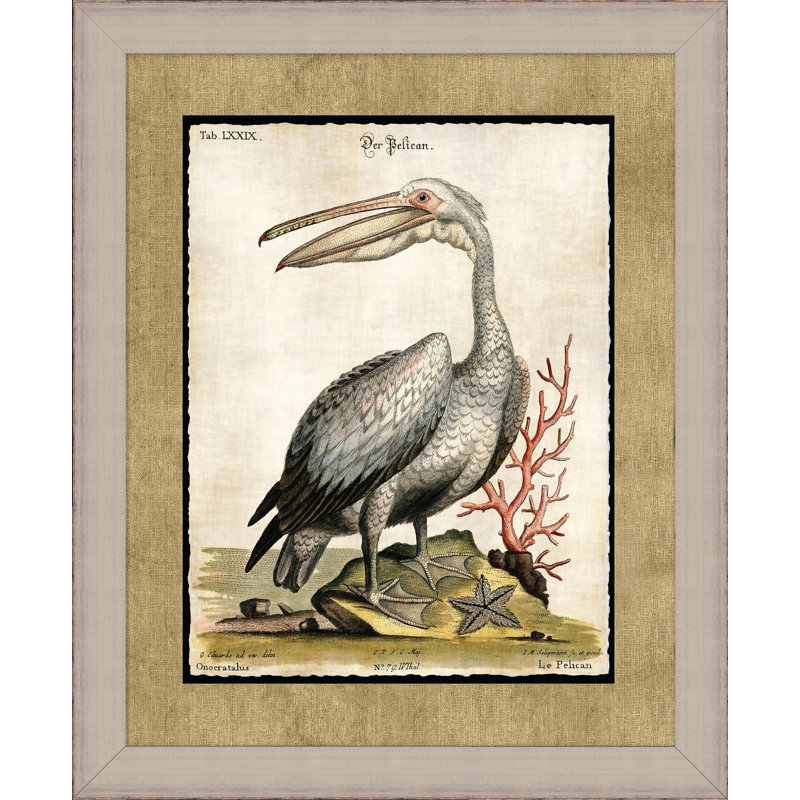 The Great Pelican 2 Painting