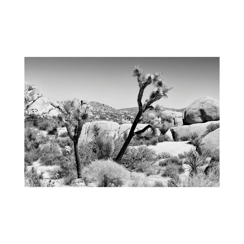 Joshua Tree National Park II 1 Piece Wrapped Canvas Wall Art, 20.32 cm H x 30.48 cm W