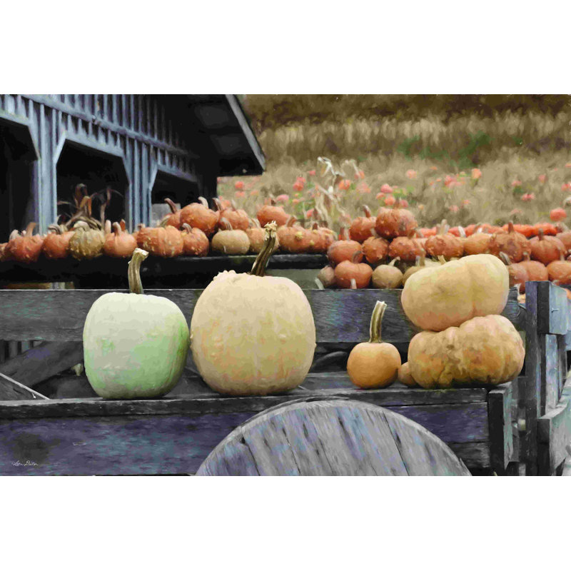 «Autumn Pumpkin Harvest» - Photographie sur toile tendue, H 20 po x l 30 po